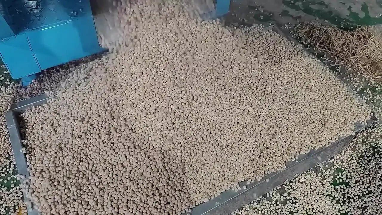 High Efficiency Pet Food Pelletizer Production Line Fish Cat Dog Feed